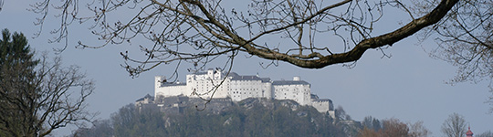 Apartment Salzburg